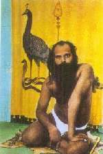 Rathinagiri Bala Murugan Adimai